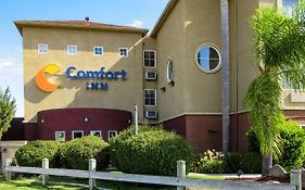 Comfort Inn Lathrop